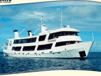 Tips and Tricks for Liveaboard Diving