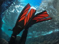 How To Choose The Best Basic Gear Possible