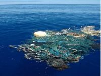 10 Ways To Cut Down On Plastic To Save Our Oceans