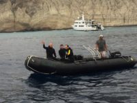 10 Reasons To Dive The Socorro Islands