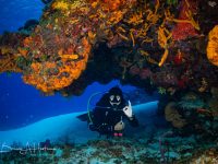 Why We Love Going Back To Cozumel Time & Time Again