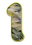 Get Scuba Certified