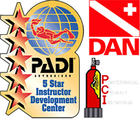 PADI 5 star IDC in Chicago